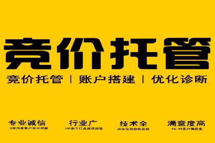 竞价SEM助力电商平台快速提升流量